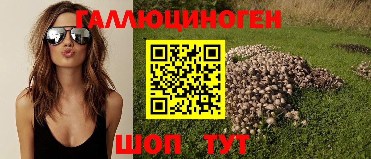 Галлюциногенные грибы мицелий  Галлюциногенные грибы мухоморы  купить  цена  Можга  Вход с VPN 